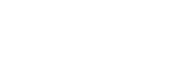 Turibus