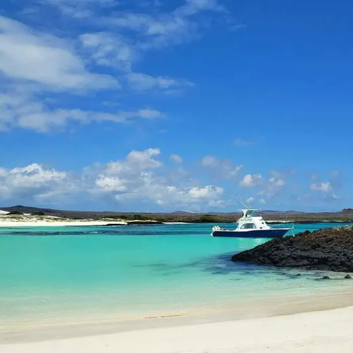 Bahia rosa blanca