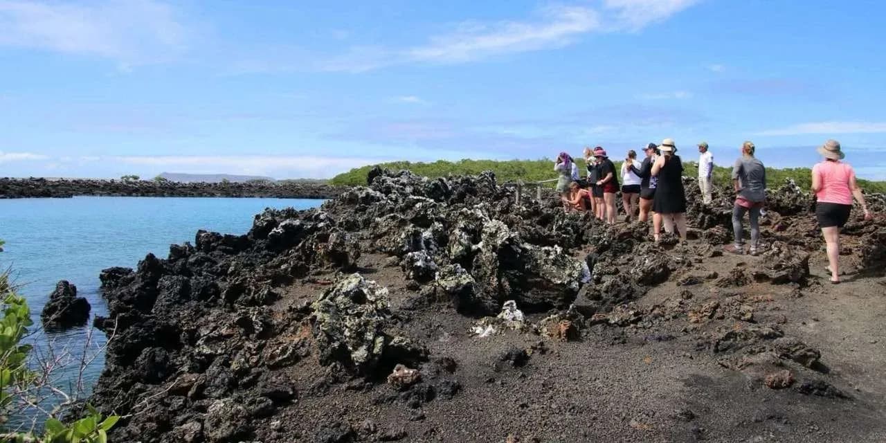 Galapagos Preservation