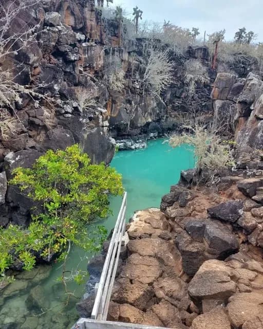 Canal del amor en Santa Cruz Medium.webp