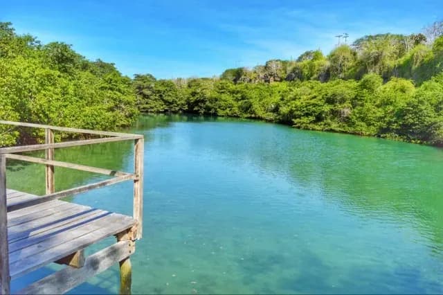 Laguna de las Ninfas Medium.webp