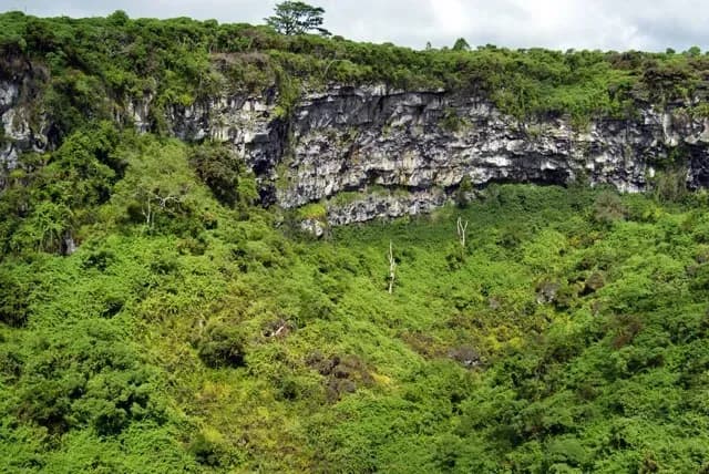 Los Gemelos Medium.webp