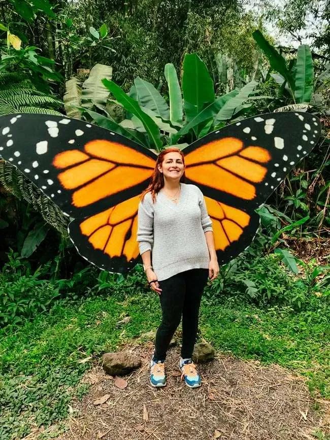 Visit to the butterfly farm 4