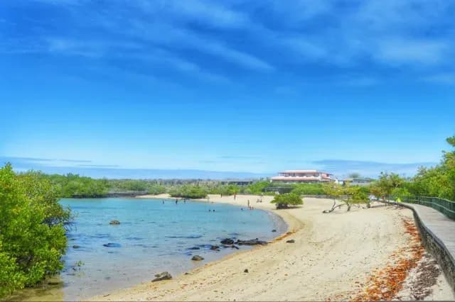 Playa de los Alemanes - Isla Santa Cruz, Galápagos, Ecuador Medium.webp