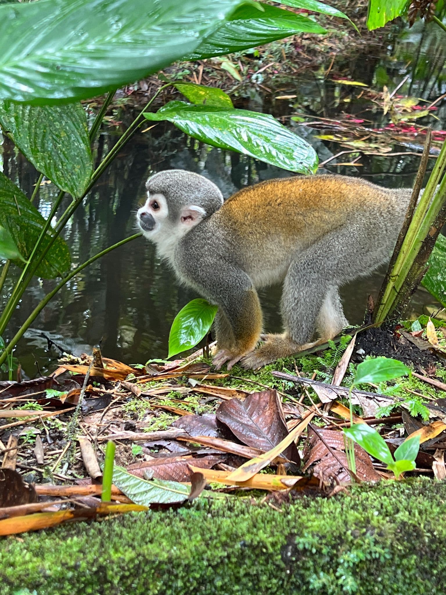 Centro de restace Yanacocha