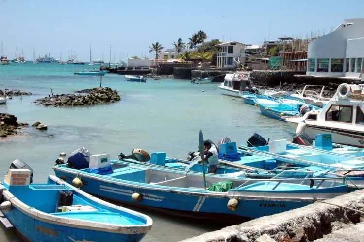 best islands to visit in Galapagos - puerto ayora