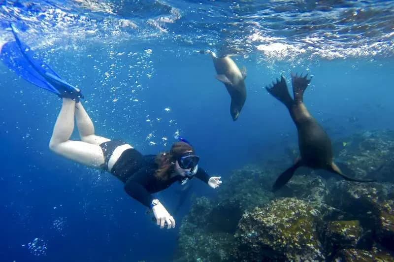 Buceo de superficie en las islas Galápagos - Que hacer en Galapagos