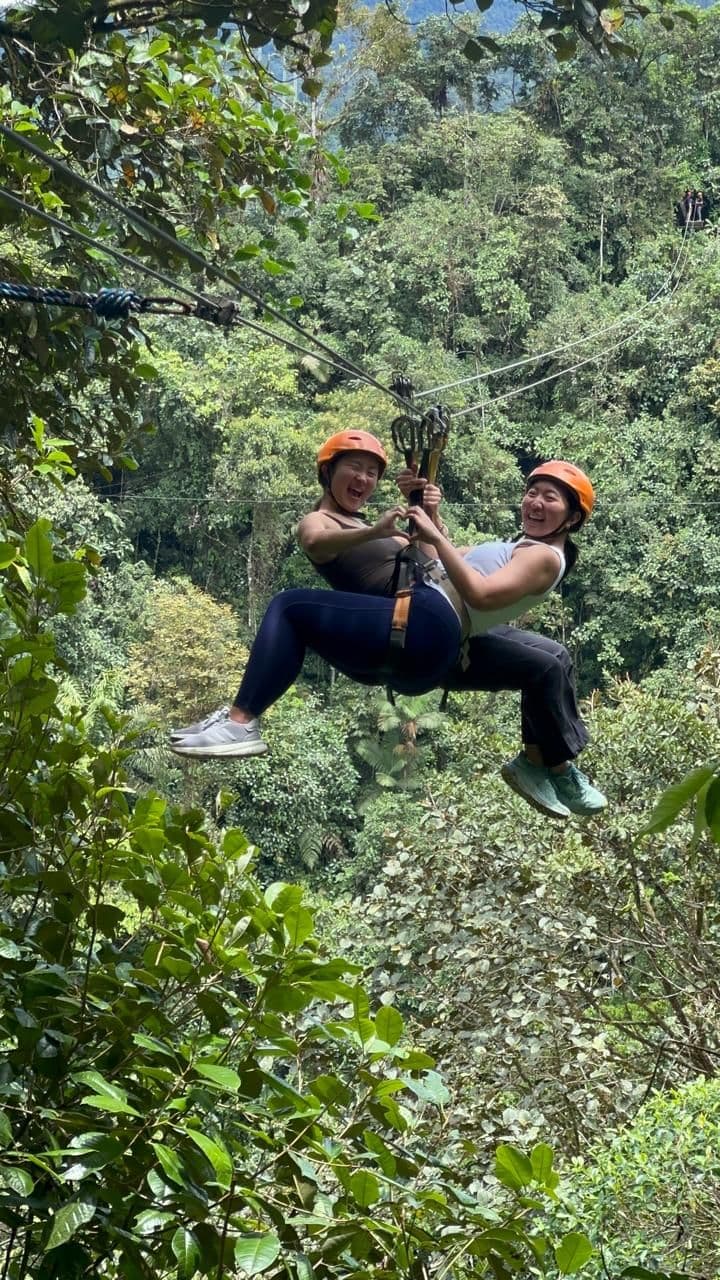 Canopy