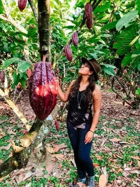 Chocolate tour in Mindo