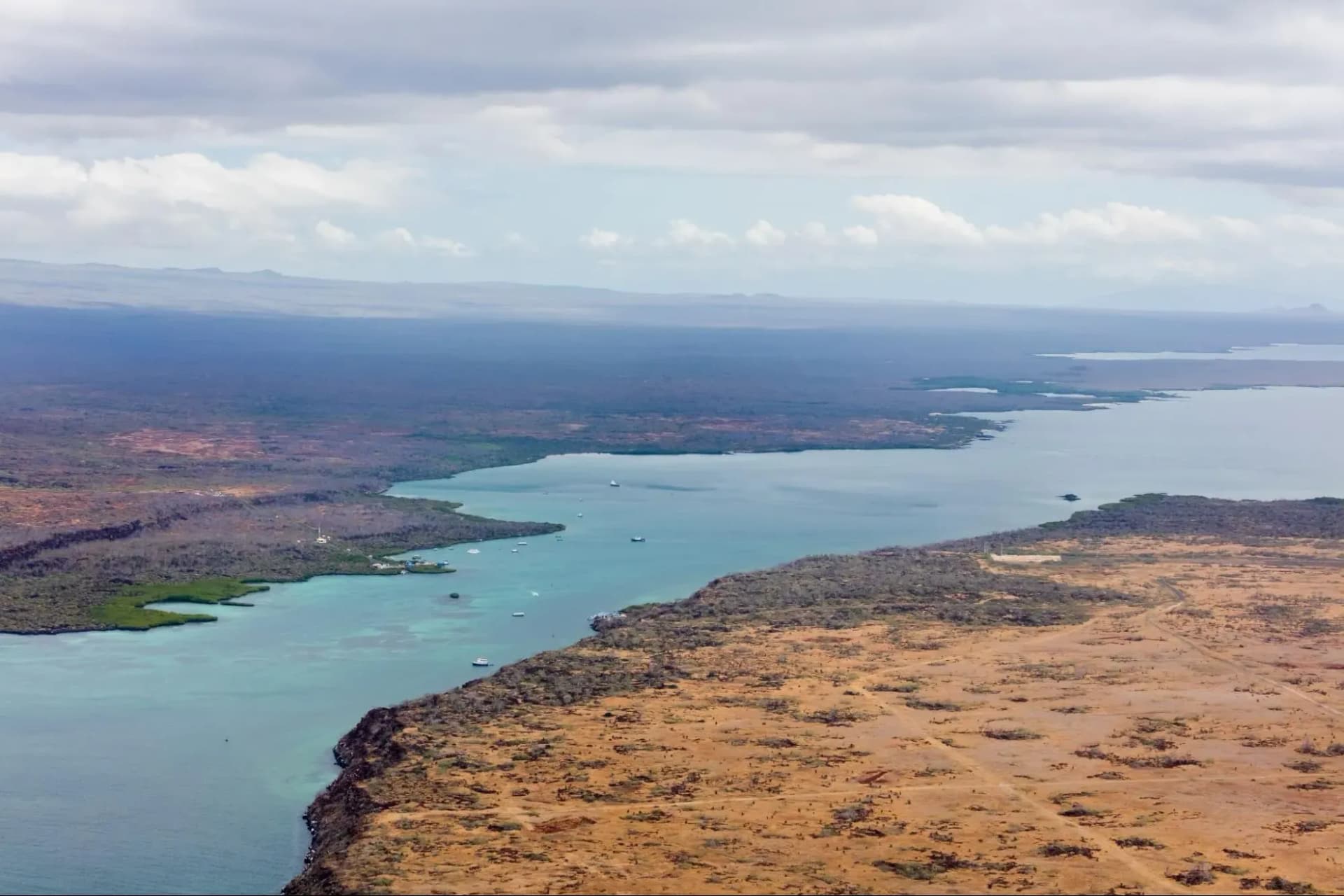 ¿Cómo llegar a Santa Cruz, Galápagos? Guía completa con precios