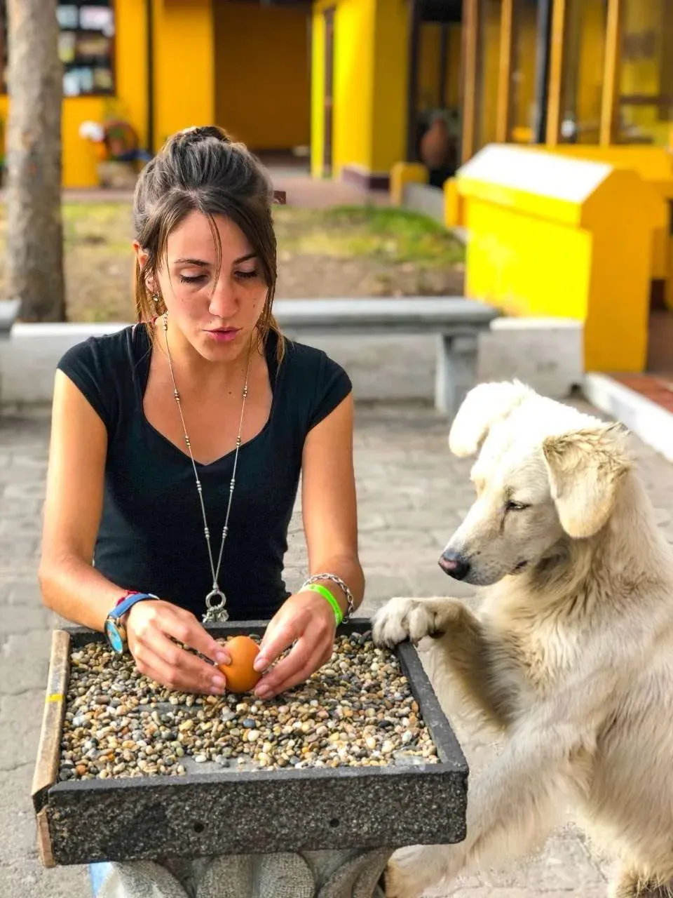 Ejercicio de equilibrar un huevo sobre la cabeza de un clavo en la Mitad del Mundo