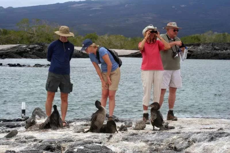 Exploring Galapagos