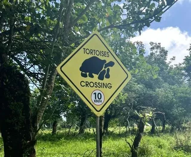 Tour Tortugas Gigantes