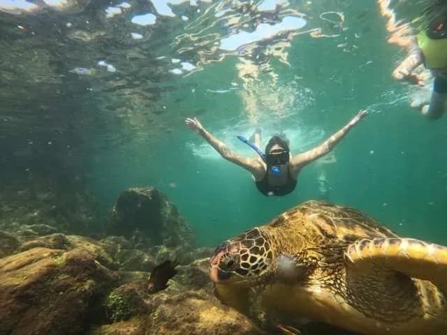 Tour Santa Cruz y San Cristobal: 4 días, 3 noches