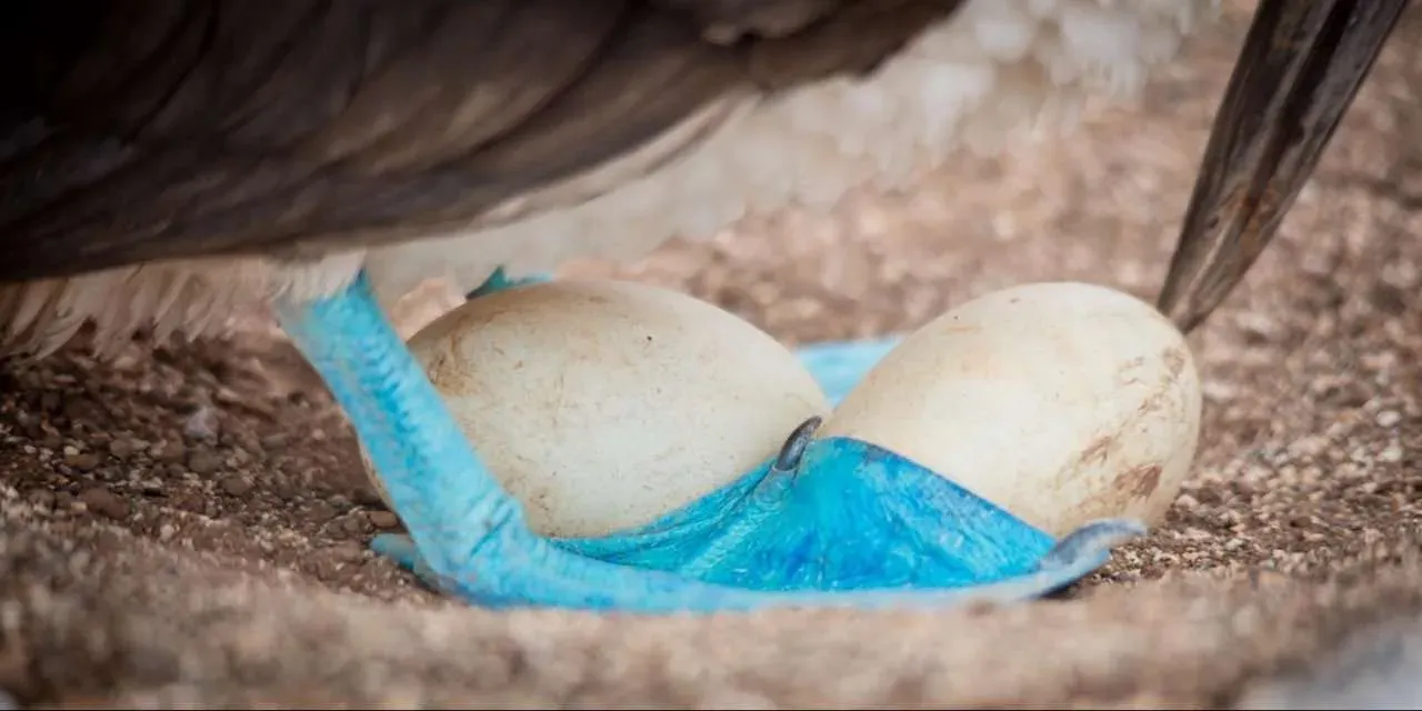 Historia de descubrimiento y ciencia