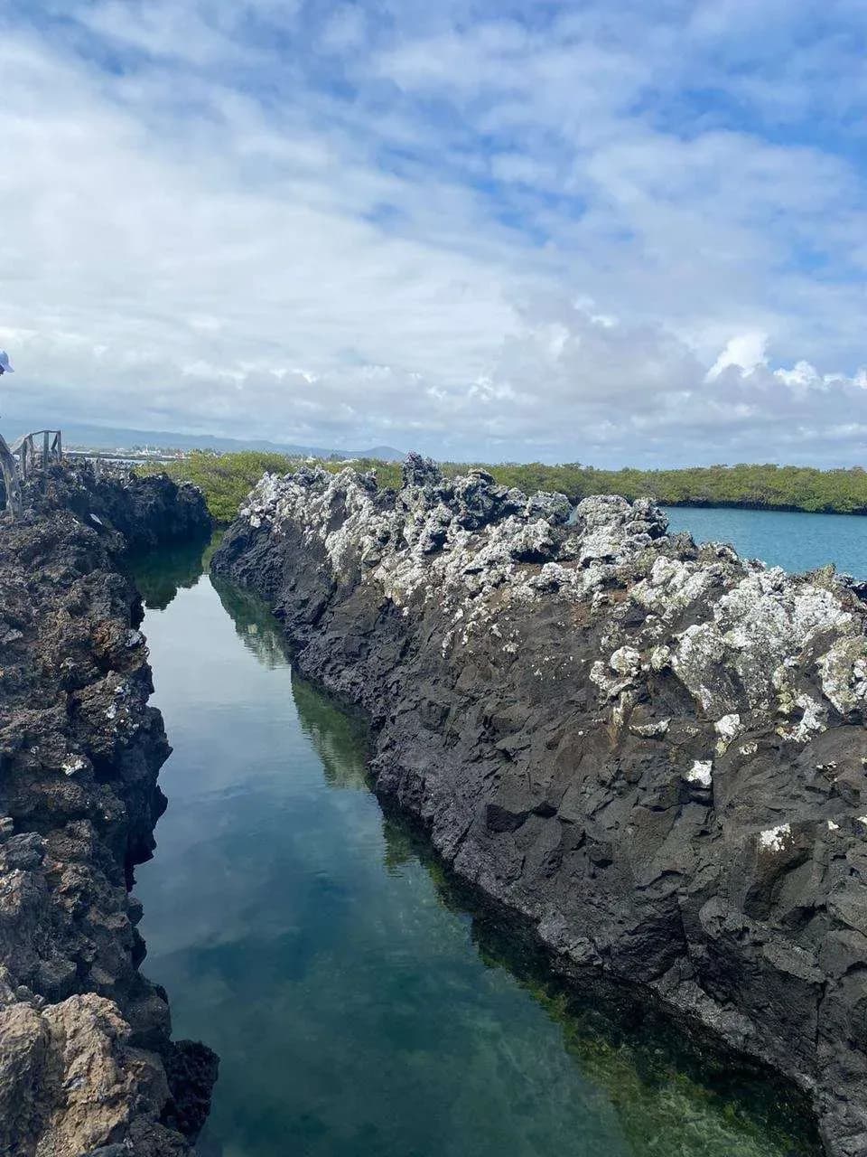 Las Tintoreras en Galapagos