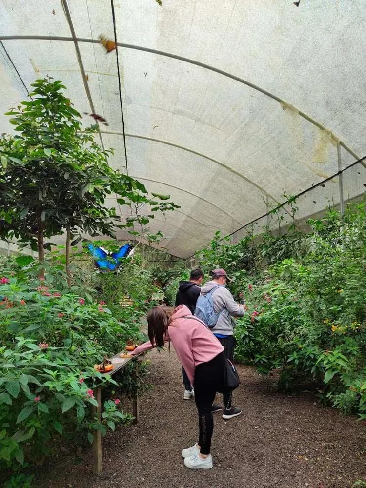 El Santuario de las Mariposas 5