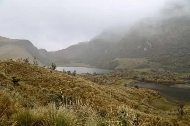 Parque Nacional Cayambe Coca