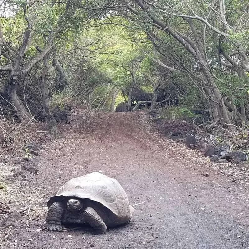 Path to the Wall of Tears - Things to do in Galapagos