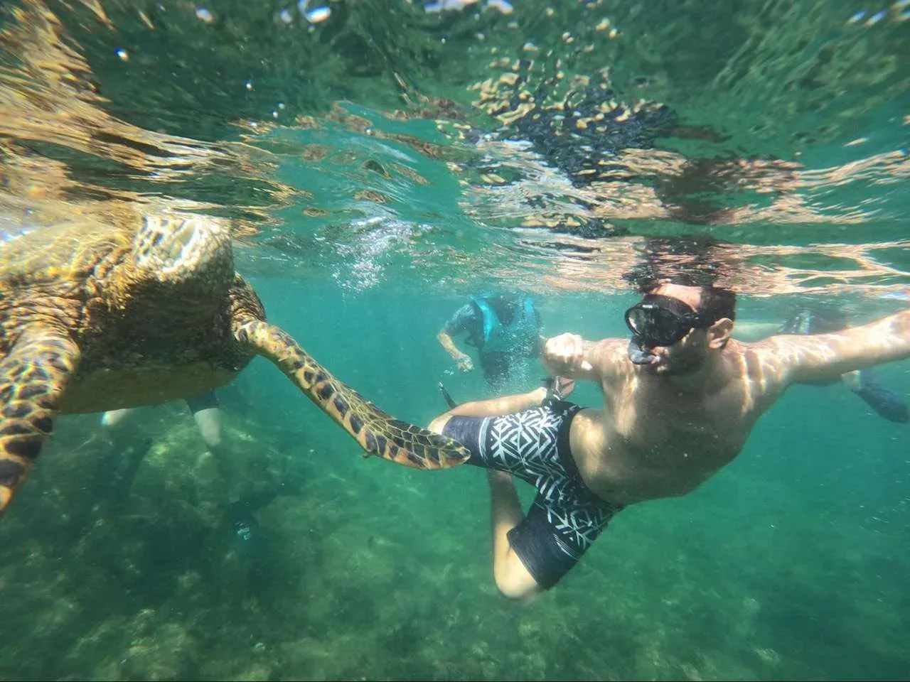 Pearl shell - Snorkeling