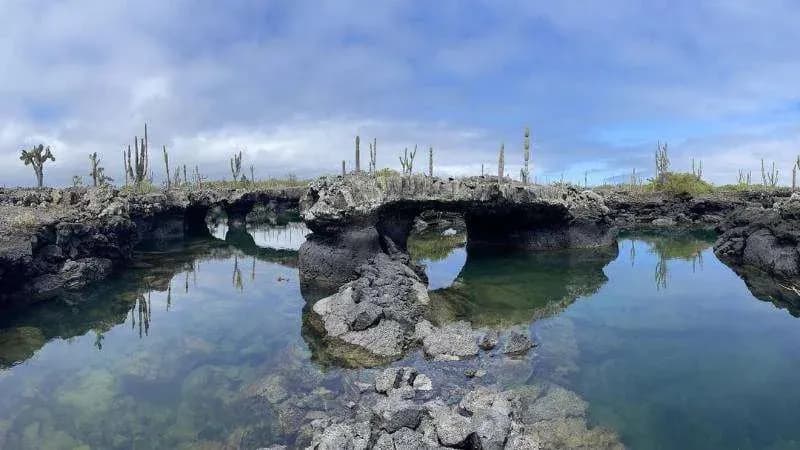 Que hacer en isla Isabela - Los Túneles - Cabo Rosa