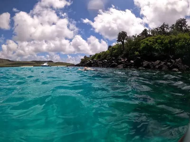 Santa Fe Island - Things to do in Galapagos