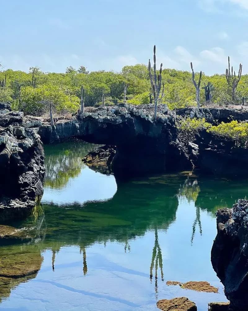 The Tunnels - Things to do in Galapagos