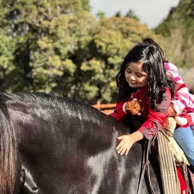 Things to do in Banos Ecuador - Animal park