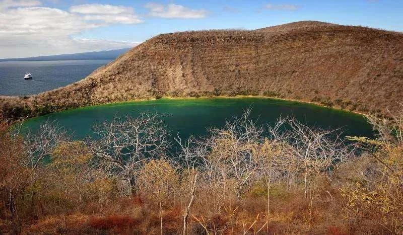 Things to do on Isabela Island - Caleta Tagus