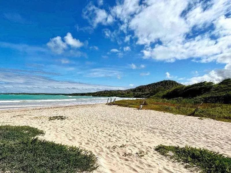 Things to do on Santa Cruz Island Galapagos - El Garrapatero