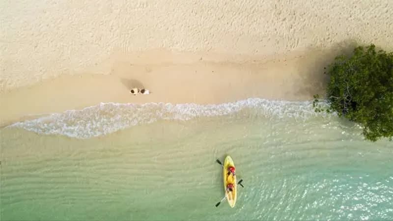 Things to do on Santa Cruz Island Galapagos - Finch bay