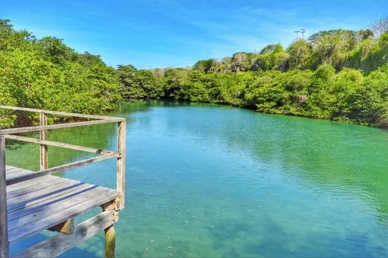 Things to do on Santa Cruz Island Galapagos - Laguna las ninfas