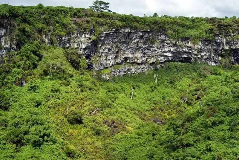 Things to do on Santa Cruz Island Galapagos - Los gemelos