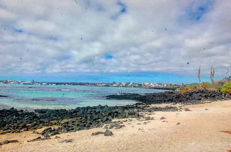 Things to do on Santa Cruz Island Galapagos - Playa de la estacion