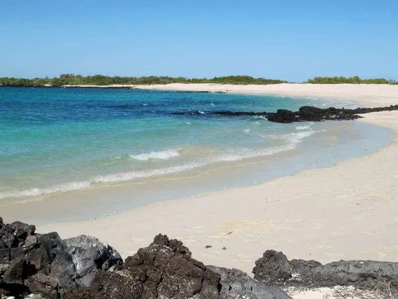 Things to do on Santa Cruz Island Galapagos - Playa las Bachas