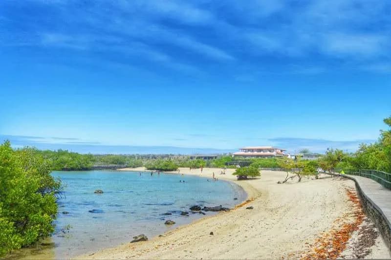 Things to do on Santa Cruz Island Galapagos - Playa punta estrada