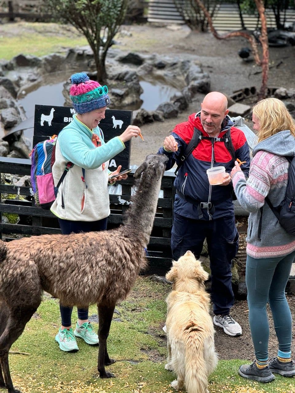 Visita una familia en el páramo 2