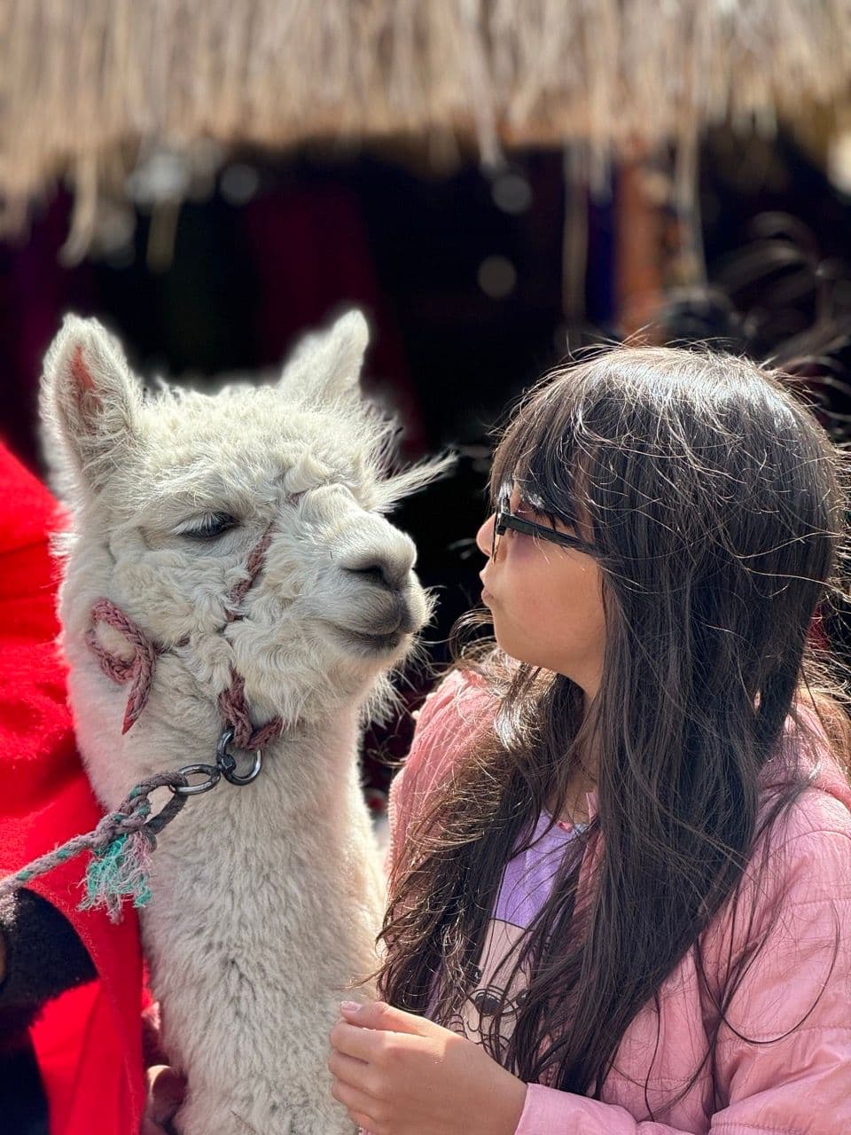 Visita una familia en el páramo 3