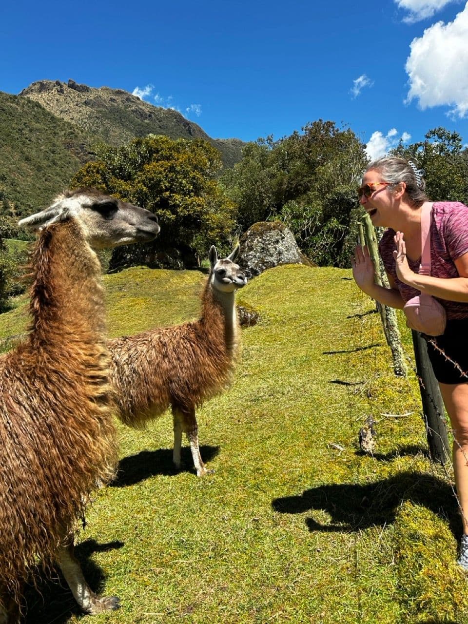 Piscinas del balneario en Termas de Papallacta 6