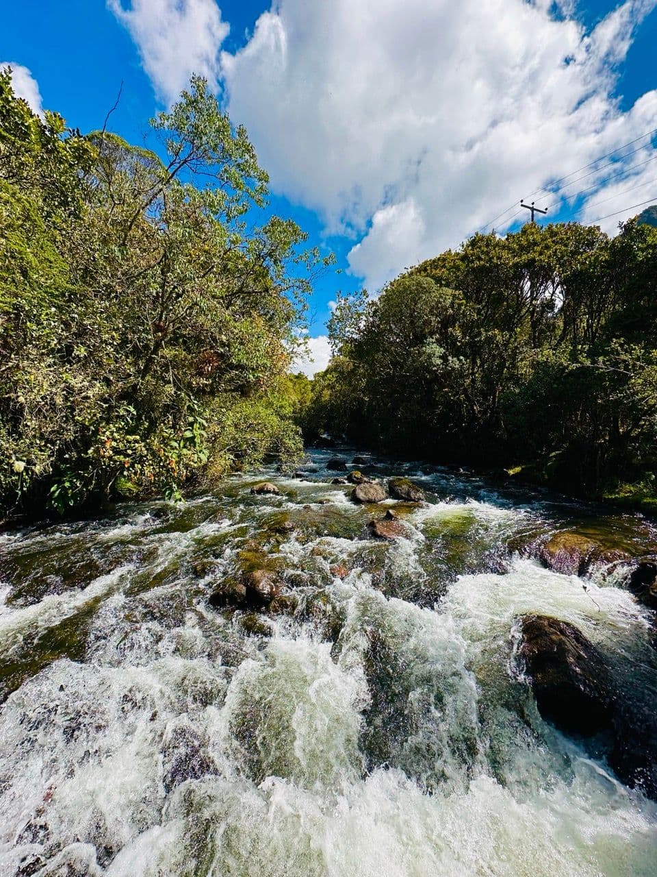 Piscinas del balneario en Termas de Papallacta 5