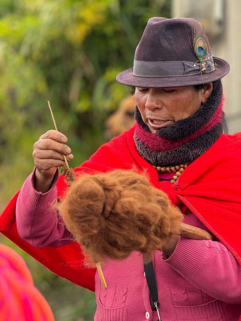 Visit a traditional house 3